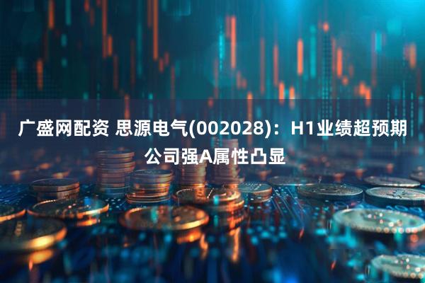 广盛网配资 思源电气(002028)：H1业绩超预期 公司强Α属性凸显